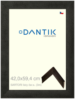DANTIK rám na obraz 42x59,4 | SARTORI listy čer.s. (Plexi Čiré)