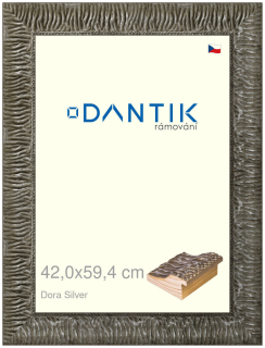 DANTIK rám na obraz 42x59,4 | Dora Silver (Plexi Čiré)