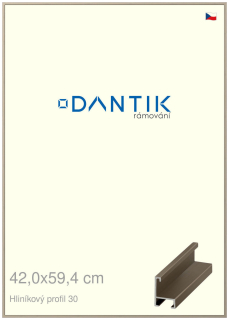 DANTIK rám na obraz 42x59,4 | ALU champagne (Plexi Čiré)