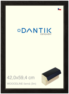 DANTIK rám na obraz 42x59,4 | WOODLINE černá (Plexi Čiré)