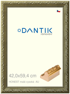 DANTIK rám na obraz 42x59,4 | HONEST malá vysoká AU (Plexi Čiré)