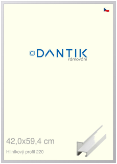 DANTIK rám na obraz 42x59,4 | ALU Bílá matná (Plexi Čiré)