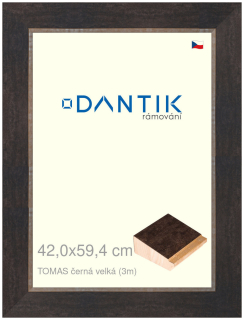 DANTIK rám na obraz 42x59,4 | TOMAS černá velká (Plexi Čiré)