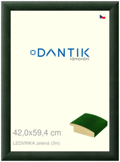 DANTIK rám na obraz 42x59,4 | LEDVINKA zelená (Plexi Čiré)