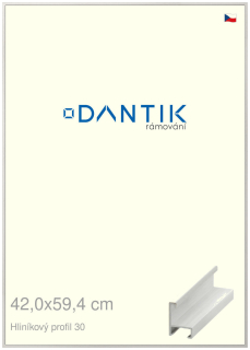 DANTIK rám na obraz 42x59,4 | ALU Dýha bílá (Plexi Čiré)
