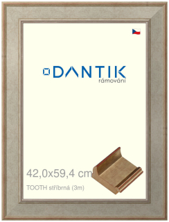 DANTIK rám na obraz 42x59,4 | TOOTH stříbrná (Plexi Čiré)