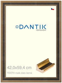 DANTIK rám na obraz 42x59,4 | TOOTH malá zlato černá (Plexi Čiré)