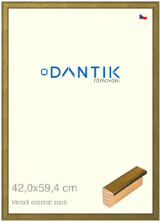 DANTIK rám na obraz 42x59,4 | Metalli oidati zlatá (Plexi Čiré)