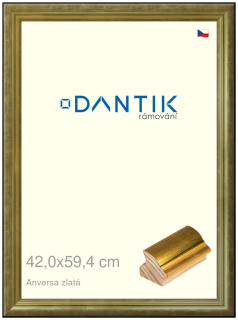 DANTIK rám na obraz 42x59,4 | ANIVERSA zlatá (Plexi Čiré)