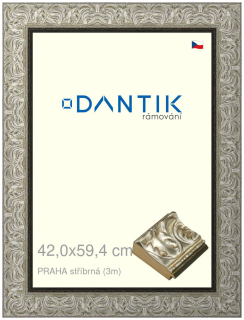 DANTIK rám na obraz 42x59,4 | PRAHA stříbrná (Plexi Čiré)