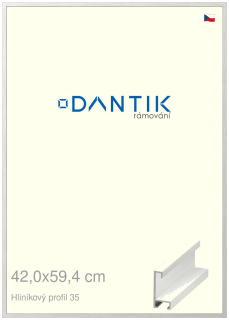 DANTIK rám na obraz 42x59,4 | ALU Dýha bílá (Plexi Čiré)