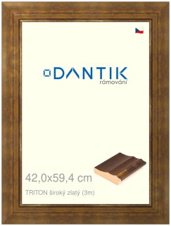 DANTIK rám na obraz 42x59,4 | TRITON široký zlatý (Plexi Čiré)