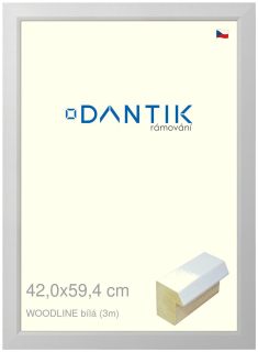 DANTIK rám na obraz 42x59,4 | WOODLINE bílá (Plexi Čiré)