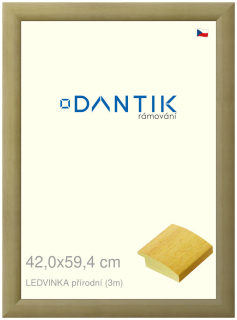 DANTIK rám na obraz 42x59,4 | LEDVINKA přírodní (Plexi Čiré)