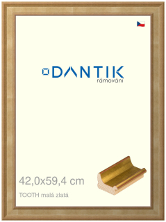 DANTIK rám na obraz 42x59,4 | TOOTH malá zlatá (Plexi Čiré)