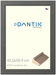 DANTIK rám na obraz 42x59,4 | STEP tmavěšedá (Plexi Čiré)