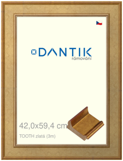 DANTIK rám na obraz 42x59,4 | TOOTH zlatá (Plexi Čiré)