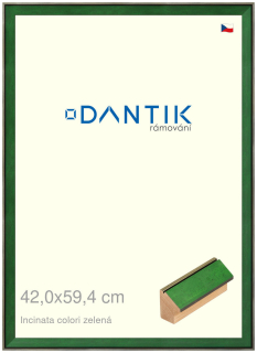 DANTIK rám na obraz 42x59,4 | INCLINATA colori zelená (Plexi Čiré)