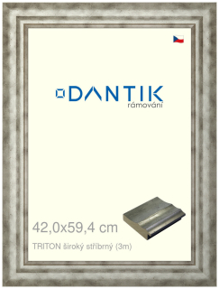 DANTIK rám na obraz 42x59,4 | TRITON široký stříbrný (Plexi Čiré)