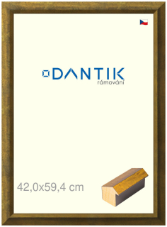 DANTIK rám na obraz 42x59,4 | Forgia Gold (Plexi Čiré)