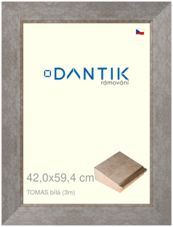 DANTIK rám na obraz 42x59,4 | TOMAS bílá velká (Plexi Čiré)