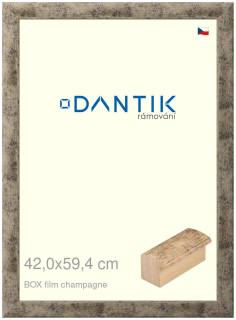 DANTIK rám na obraz 42x59,4 | BOX film champagne (Plexi Čiré)