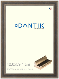 DANTIK rám na obraz 42x59,4 | TOOTH malá stříbrno černá (Plexi Čiré)