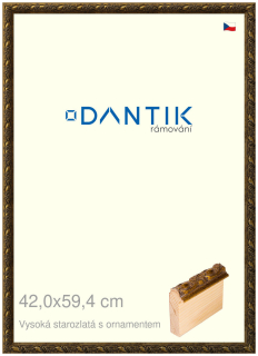 DANTIK rám na obraz 42x59,4 | Vysoká starozlatá s ornamentem (Plexi Čiré)
