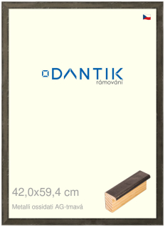 DANTIK rám na obraz 42x59,4 | Metalli oidati AG tmavá (Plexi Čiré)