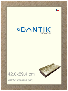 DANTIK rám na obraz 42x59,4 | Golf champagne (Plexi Čiré)