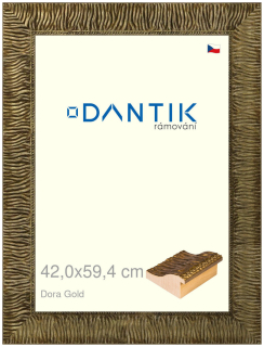 DANTIK rám na obraz 42x59,4 | Dora Gold (Plexi Čiré)