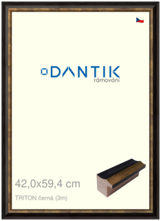 DANTIK rám na obraz 42x59,4 | TRITON černá (Plexi Čiré)