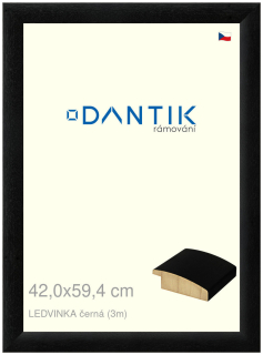 DANTIK rám na obraz 42x59,4 | LEDVINKA černá (Plexi Čiré)