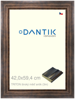 DANTIK rám na obraz 42x59,4 | TRITON široký měď antik (Plexi Čiré)