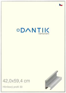 DANTIK rám na obraz 42x59,4 | ALU Dýha barevná šedá světlá (Plexi Čiré)