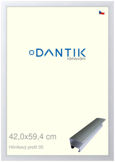 DANTIK rám na obraz 42x59,4 | ALU Stříbrná matná (Plexi Čiré)