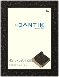 DANTIK rám na obraz 42x59,4 | PRAHA černá (Plexi Čiré)