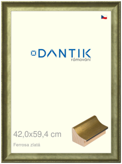 DANTIK rám na obraz 42x59,4 | Ferrosa zlatá (Plexi Čiré)