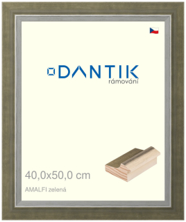 DANTIK rám na obraz 40x50 | AMALFI zelená (Sklo Čiré)