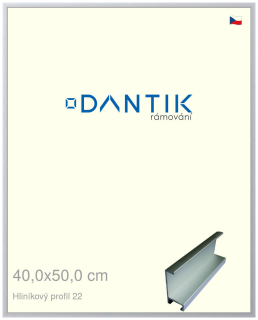 DANTIK rám na obraz 40x50 | ALU Stříbrná matná (Sklo Čiré)