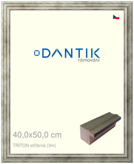 DANTIK rám na obraz 40x50 | TRITON stříbrná (Sklo Čiré)
