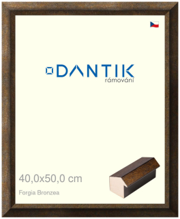 DANTIK rám na obraz 40x50 | Forgia Bronzea (Sklo Čiré)