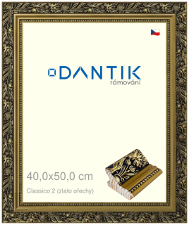 DANTIK rám na obraz 40x50 | Claico 2 (zlato ořechy) (Sklo Čiré)