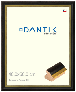 DANTIK rám na obraz 40x50 | ANIVERSA černá AU (Sklo Čiré)