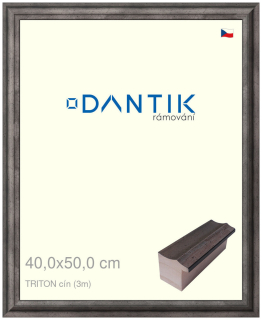 DANTIK rám na obraz 40x50 | TRITON cín (Sklo Čiré)