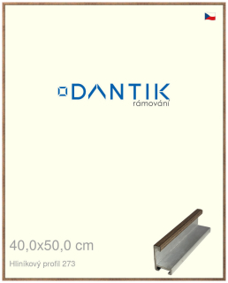 DANTIK rám na obraz 40x50 | ALU Dýha wenge (Sklo Čiré)