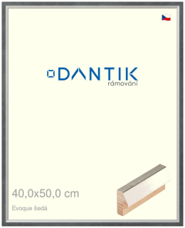 DANTIK rám na obraz 40x50 | EVOQUE šedá (Sklo Čiré)
