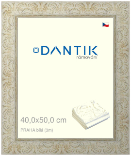 DANTIK rám na obraz 40x50 | PRAHA Bílá (Sklo Čiré)
