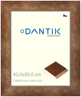 DANTIK rám na obraz 40x50 | TOMAS bronz velká (Sklo Čiré)
