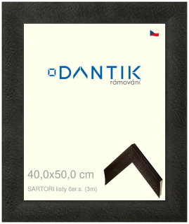 DANTIK rám na obraz 40x50 | SARTORI listy čer.s. (Sklo Čiré)
